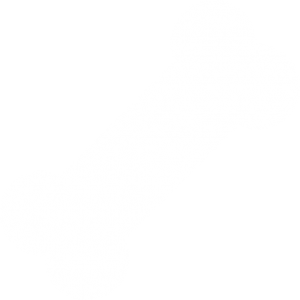 Bone PNG-46865